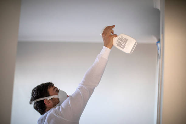 Best Black Mold Removal  in Evansdale, IA