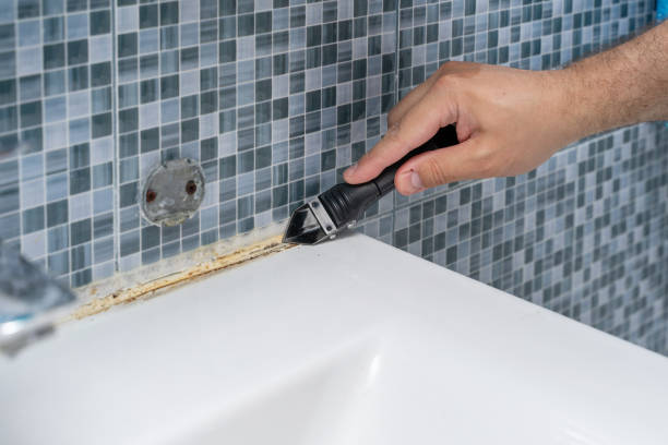 Best Mold Cleaning Services  in Evansdale, IA