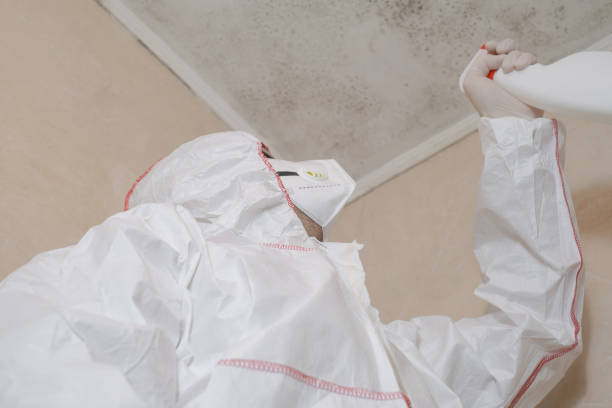 Best Mold Testing  in Evansdale, IA