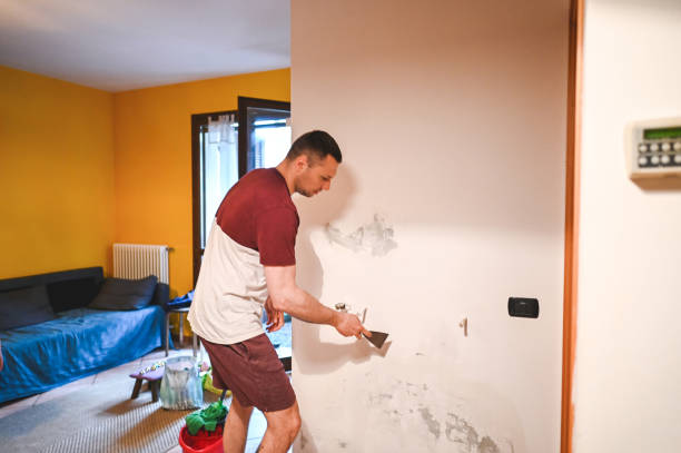 Best Same-Day Mold Removal  in Evansdale, IA